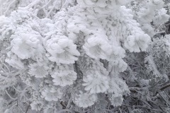 Zimni_sraz_turistu_1110-ve-velke-velikosti