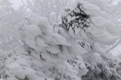 Zimni_sraz_turistu_1121-ve-velke-velikosti