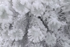 Zimni_sraz_turistu_1125-ve-velke-velikosti