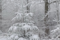 Zimni_sraz_turistu_1183-ve-velke-velikosti