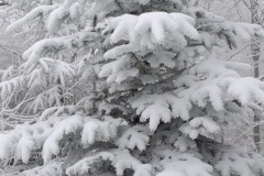 Zimni_sraz_turistu_1194-ve-velke-velikosti