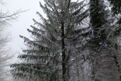 Zimni_sraz_turistu_1199-ve-velke-velikosti