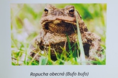 Zimni_sraz_turistu_1236-ve-velke-velikosti