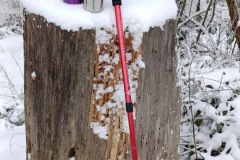 Zimni_sraz_turistu_1268-ve-velke-velikosti