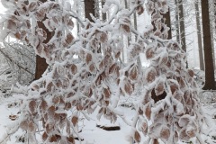 Zimni_sraz_turistu_1592-ve-velke-velikosti