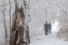 Zimni_sraz_turistu_1600-ve-velke-velikosti