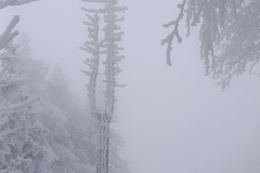 Zimni_sraz_turistu_1741-ve-velke-velikosti