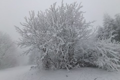 Zimni_sraz_turistu_1793-ve-velke-velikosti