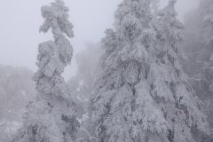 Zimni_sraz_turistu_1812-ve-velke-velikosti