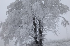 Zimni_sraz_turistu_1826-ve-velke-velikosti