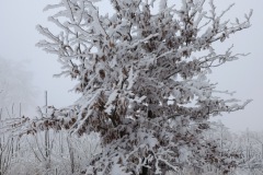 Zimni_sraz_turistu_1828-ve-velke-velikosti