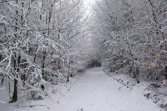 Zimni_sraz_turistu_1836-ve-velke-velikosti