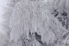 Zimni_sraz_turistu_1852-ve-velke-velikosti