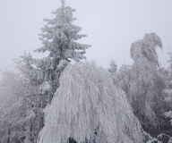 Zimni_sraz_turistu_1858-ve-velke-velikosti