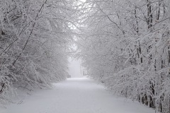 Zimni_sraz_turistu_1882-ve-velke-velikosti