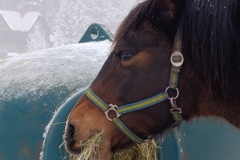 Zimni_sraz_turistu_1924-ve-velke-velikosti