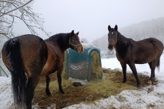 Zimni_sraz_turistu_1943-ve-velke-velikosti