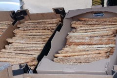 Zimni_sraz_turistu_2235-ve-velke-velikosti