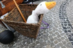 Zimni_sraz_turistu_2482-ve-velke-velikosti