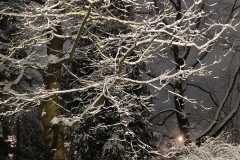 Zimni_sraz_turistu_426-ve-velke-velikosti