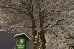 Zimni_sraz_turistu_483-ve-velke-velikosti