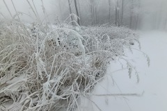 Zimni_sraz_turistu_713-ve-velke-velikosti