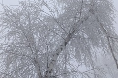 Zimni_sraz_turistu_726-ve-velke-velikosti