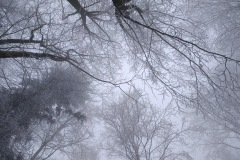 Zimni_sraz_turistu_729-ve-velke-velikosti