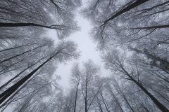 Zimni_sraz_turistu_738-ve-velke-velikosti