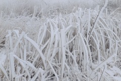 Zimni_sraz_turistu_797-ve-velke-velikosti