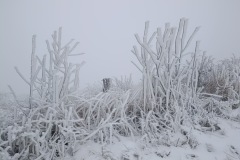 Zimni_sraz_turistu_802-ve-velke-velikosti