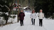 2014-02-15-skurecena-001