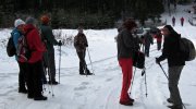 2014-02-15-skurecena-002