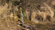 2014-03-01-tr-teplice-023