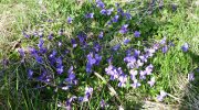2014-03-22-luhacovice-008