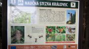 2014-03-22-luhacovice-047