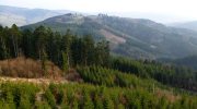 2014-03-22-luhacovice-049