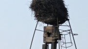 2014-04-04-jakartovice-007-Large