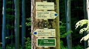 2014-05-10-zlatohorsko-006-Large