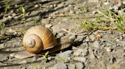 2014-05-10-zlatohorsko-008-Large
