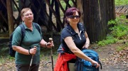 2014-05-10-zlatohorsko-016-Large