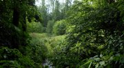 2014-05-24-pomoravi-003
