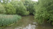 2014-05-24-pomoravi-012