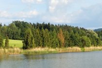 2014-05-31 Noční pochod
