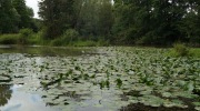 2014-06-21-kolem-odry-003-Large