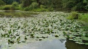 2014-06-21-kolem-odry-004-Large