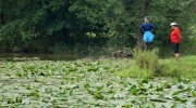 2014-06-21-kolem-odry-007-Large