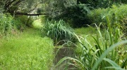 2014-06-21-kolem-odry-008-Large
