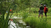 2014-06-21-kolem-odry-010-Large