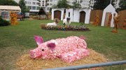 2014-06-22-havirov-038